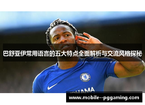 巴舒亚伊常用语言的五大特点全面解析与交流风格探秘