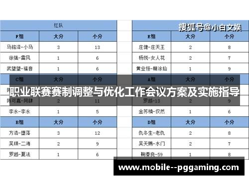 职业联赛赛制调整与优化工作会议方案及实施指导 职业联赛赛制调整与优化工作会议方案及实施指导