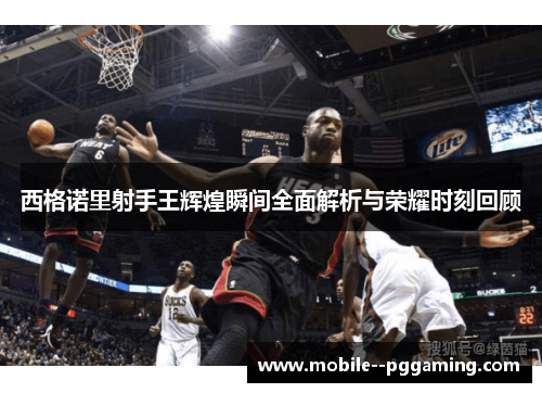 西格诺里射手王辉煌瞬间全面解析与荣耀时刻回顾 西格诺里射手王辉煌瞬间全面解析与荣耀时刻回顾