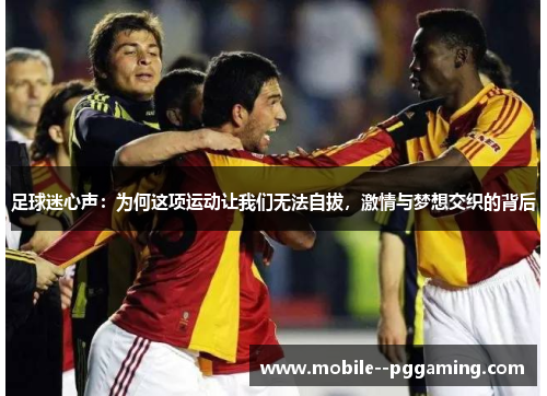 足球迷心声：为何这项运动让我们无法自拔，激情与梦想交织的背后