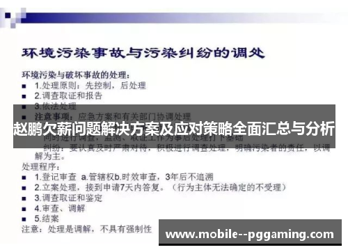 赵鹏欠薪问题解决方案及应对策略全面汇总与分析 赵鹏欠薪问题解决方案及应对策略全面汇总与分析