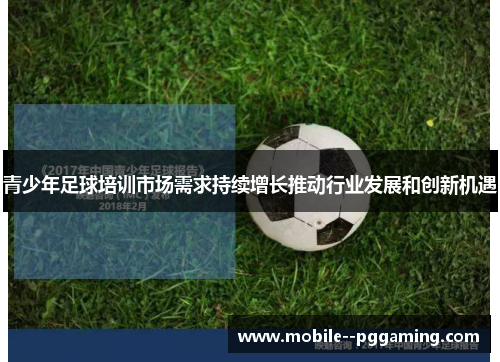 青少年足球培训市场需求持续增长推动行业发展和创新机遇