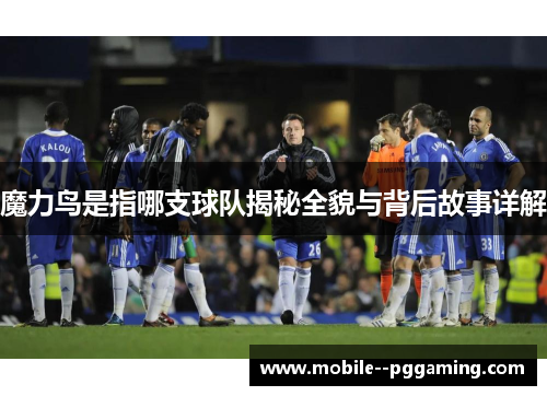 魔力鸟是指哪支球队揭秘全貌与背后故事详解